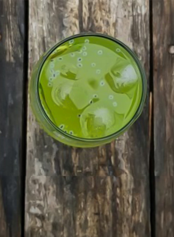 Raw Mango Lemonade