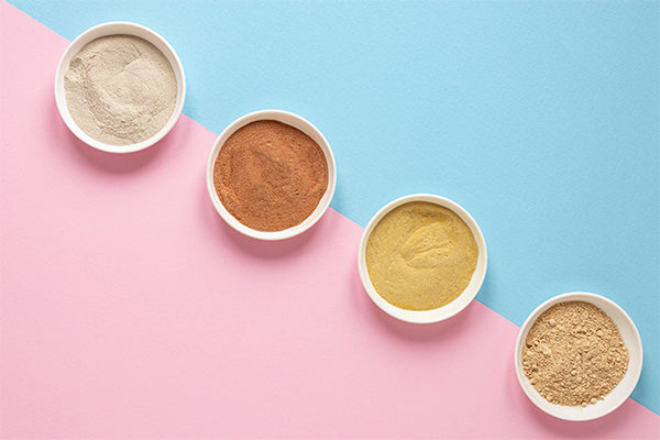 Whey Protein vs Plant Protein: What's the Difference & Which One is Better?