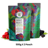 Berry Blast 15g Plant Protein - Pack of 1kg - Regular