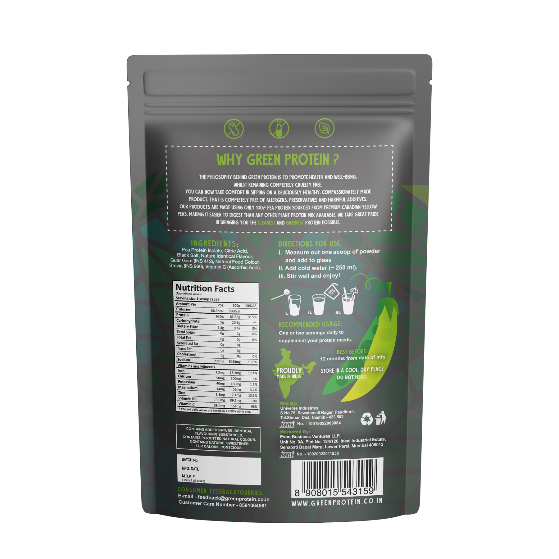 Raw Mango 15g Plant Protein - Pack of 500g - Regular