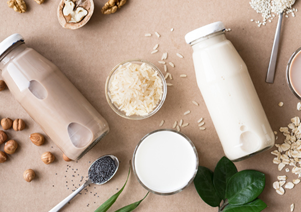 Vegan Protein Powders: A Guide to the Best Plant-Based Options