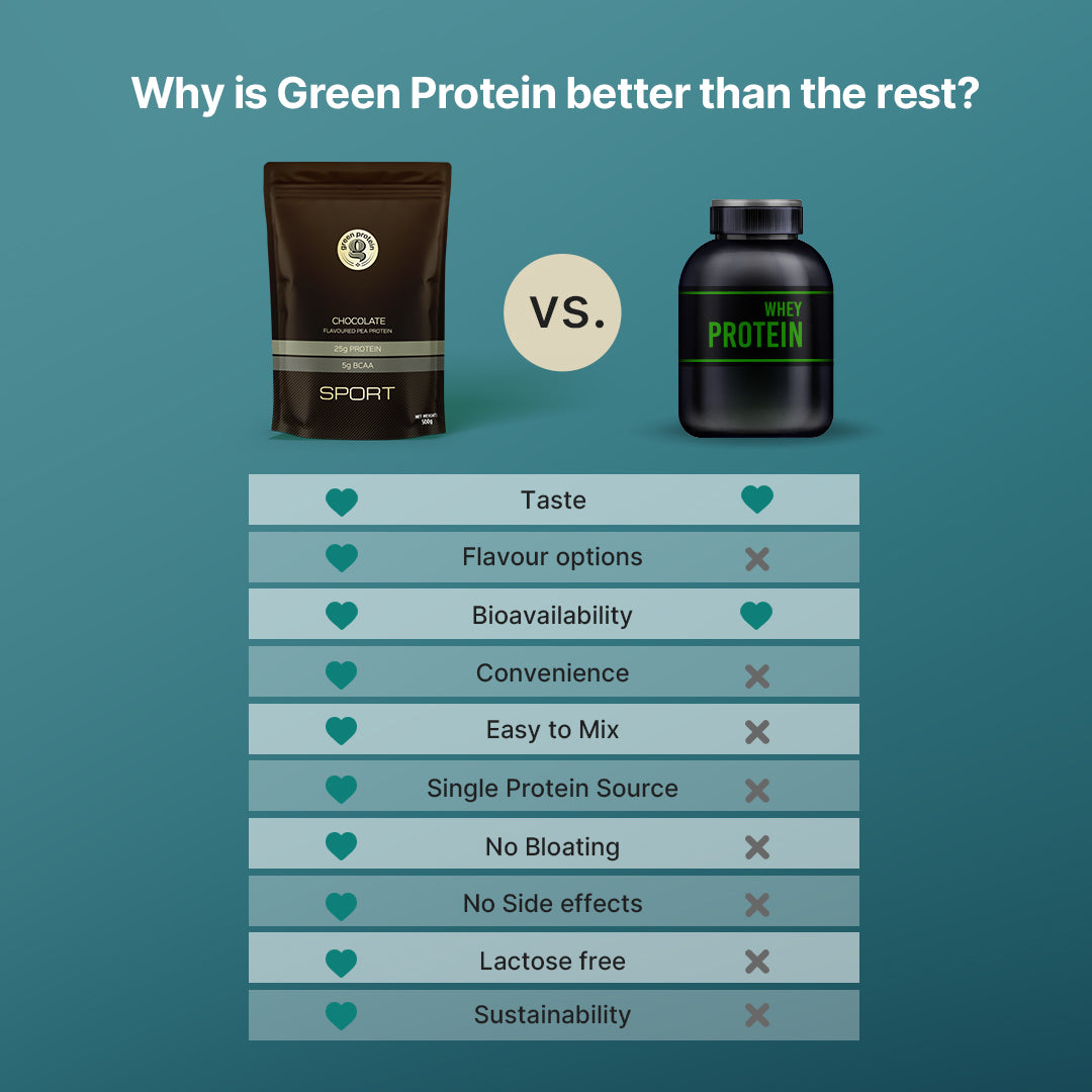 Chocolate 25g Plant Protein - Pack of 500g - Sport