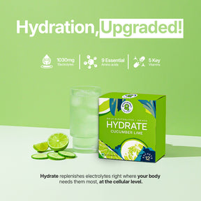 Cucumber Lime - Pack of 12 - Hydrate